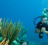 Coastal Water Dive - Holiday Cairns