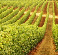 Happs Wines - Holiday Cairns