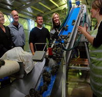 Eyre Peninsula's Seafood Trail - Holiday Cairns