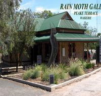 Rain Moth Gallery - Holiday Cairns