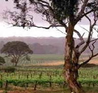 Yangarra Estate Vineyard - Holiday Cairns