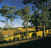 Lobethal Archives And Historical Museum - Holiday Cairns