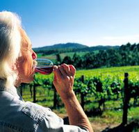 Ashton Hills Vineyard