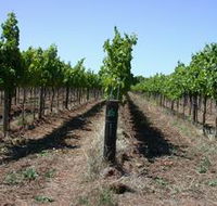 Temple Bruer Winery - Holiday Cairns