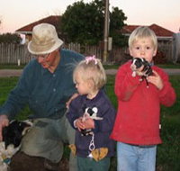 Orrie Cowie Merino and Poll Merino Stud - Holiday Cairns