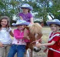 Amberainbow Pony Rides - Holiday Cairns