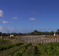Deep Creek Wines and Alpacas - Holiday Cairns