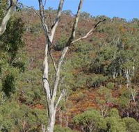 Black Hill Conservation Park - Holiday Cairns
