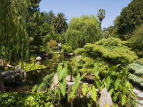 Adelaide Himeji Garden - Holiday Cairns 0