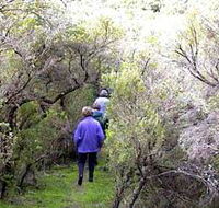 Jack And Hilda McArthur Walk - Holiday Cairns