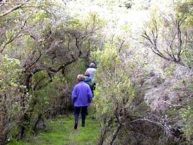 Jack And Hilda McArthur Walk - Holiday Cairns 0