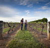 Coonawarra Wineries Walking Trail - Holiday Cairns