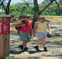 Riesling Trail - Holiday Cairns