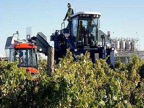 Ballast Stone Estate Wines Pty Ltd - Holiday Cairns 0