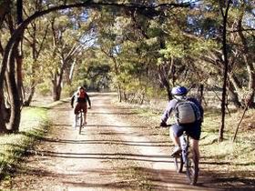 Bike About Mountain Bike Tours And Hire - Holiday Cairns 0