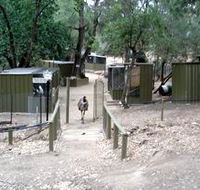 Humbug Scrub Wildlife Sanctuary - Holiday Cairns