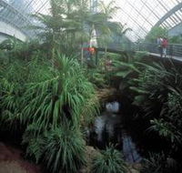 Bicentennial Conservatory - Holiday Cairns