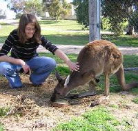 Pendleton Farmstay - Holiday Cairns