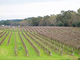 Dennis Wines - Holiday Cairns 0