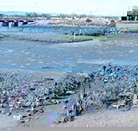 Jervois Basin Ships' Graveyard - Holiday Cairns