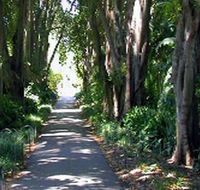 Adelaide Botanic Garden - Holiday Cairns