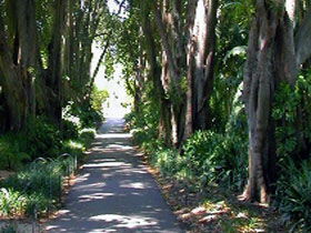 Adelaide Botanic Garden - Holiday Cairns 0