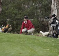 Tasmania Golf Club - The - Holiday Cairns