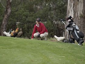 Tasmania Golf Club - The - Holiday Cairns 0