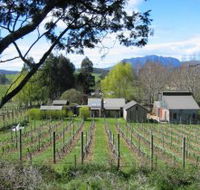 Wilmot Hills Vineyard - Holiday Cairns