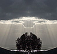aart. Gallery of Fine Art - Holiday Cairns