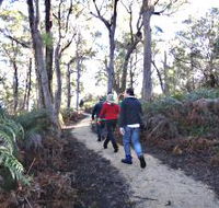 Bridport Walking Track - Holiday Cairns
