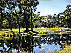 Scotchtown TAS Holiday Cairns