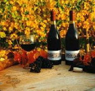 Craigow Vineyard - Holiday Cairns
