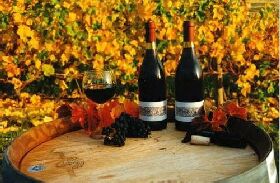 Craigow Vineyard - Holiday Cairns 0