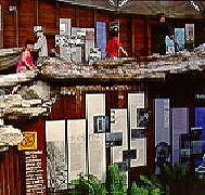 West Coast Visitor Information and Booking Centre - Holiday Cairns