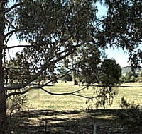 Cygnet Public Golf Course - Holiday Cairns