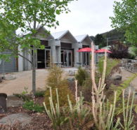 Tin Dragon Interpretation Centre and Cafe - Holiday Cairns