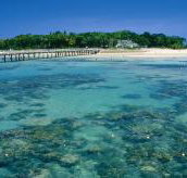 Green Island Fringing Reefs - Holiday Cairns