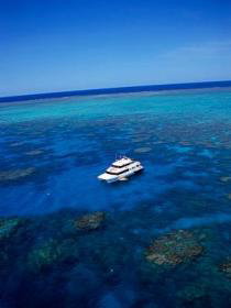Norman Reef Dive Site - Holiday Cairns 0