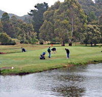 Penguin Golf Course - Holiday Cairns