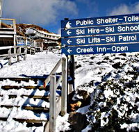 Ben Lomond National Park - Holiday Cairns