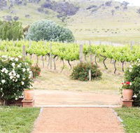 Brindabella Hills Winery - Holiday Cairns