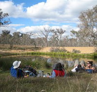 Canberra Nature Park - Holiday Cairns