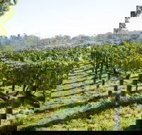 Surveyor's Hill Vineyards - Holiday Cairns