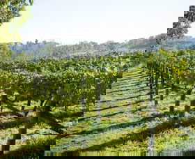 Surveyor's Hill Vineyards - Holiday Cairns 0