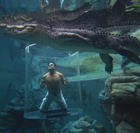 Crocosaurus Cove - Holiday Cairns