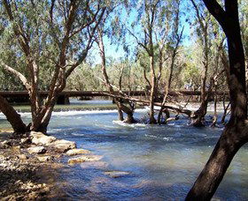 Low Level Nature Reserve - Holiday Cairns 0