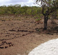 Wurrwurrwuy Garanhan Macassan Beach Interpretive Walk - Holiday Cairns
