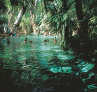 Mataranka Thermal Pool - Holiday Cairns