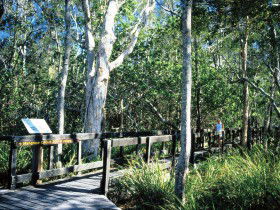 Noosa Heads QLD Holiday Cairns